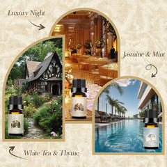 Luxurious Night fragrance oil bottle with premium packaging