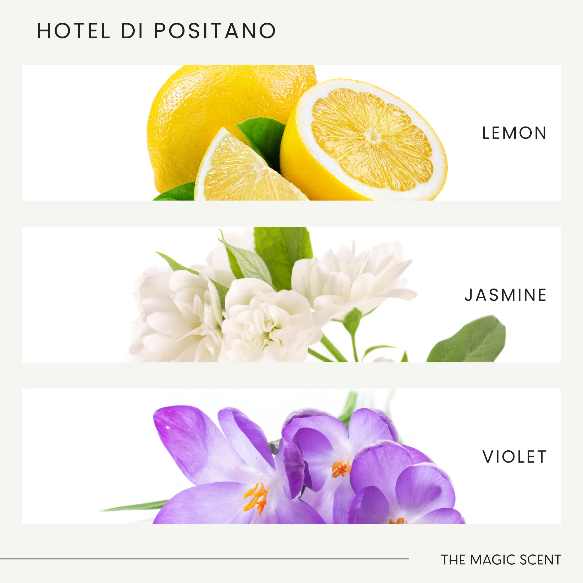 Cedarwood base note in Hotel Di Positano diffuser oil