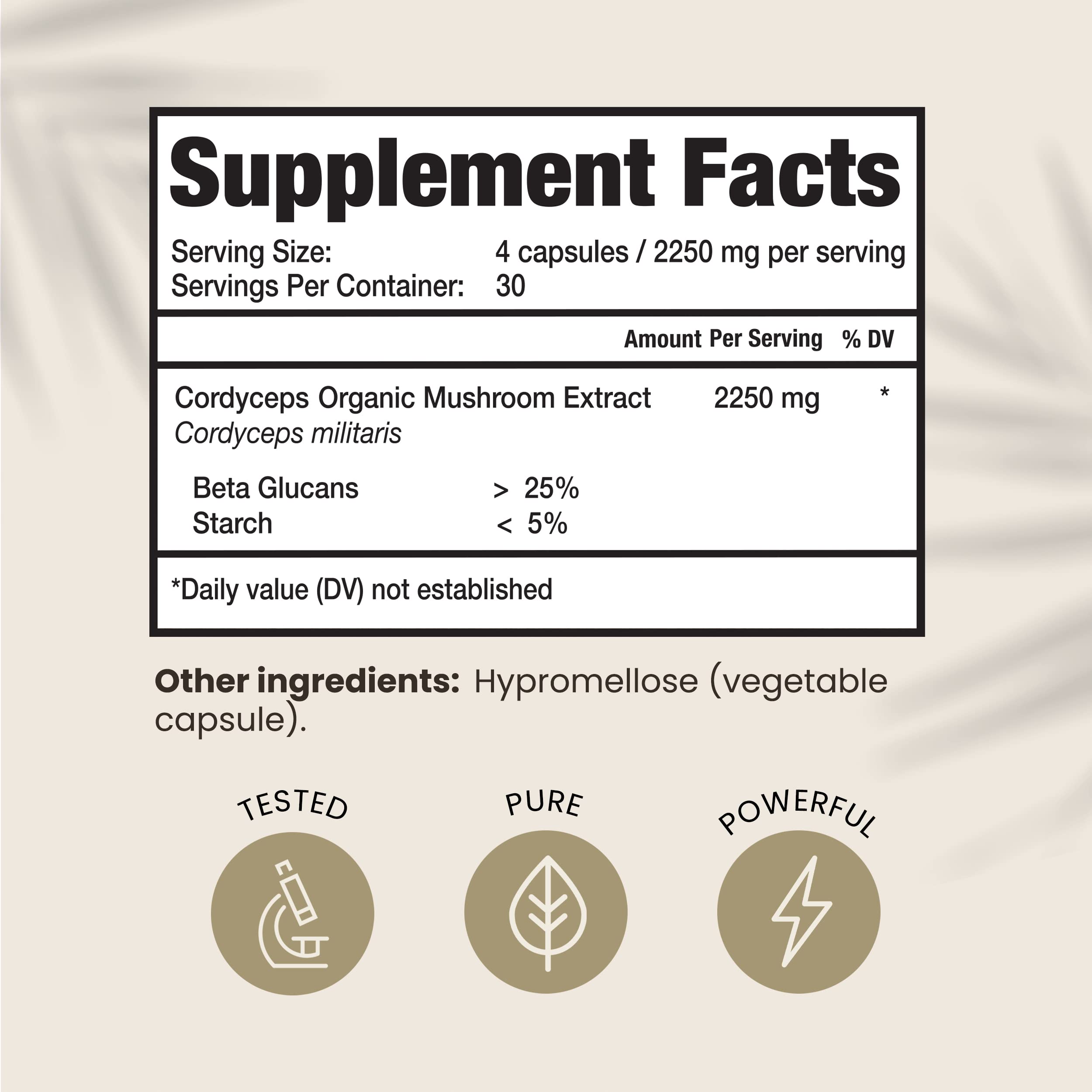 Close-up of Cordyceps Militaris mushroom powder for energy and immunity