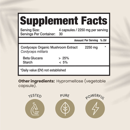 Close-up of Cordyceps Militaris mushroom powder for energy and immunity