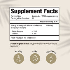 Close-up of Cordyceps Militaris mushroom powder for energy and immunity
