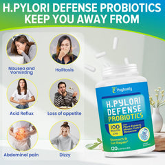 Overview of digestive health ingredients in the formula