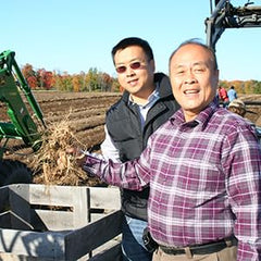 Farm-to-table quality from Hsu's Ginseng Farm