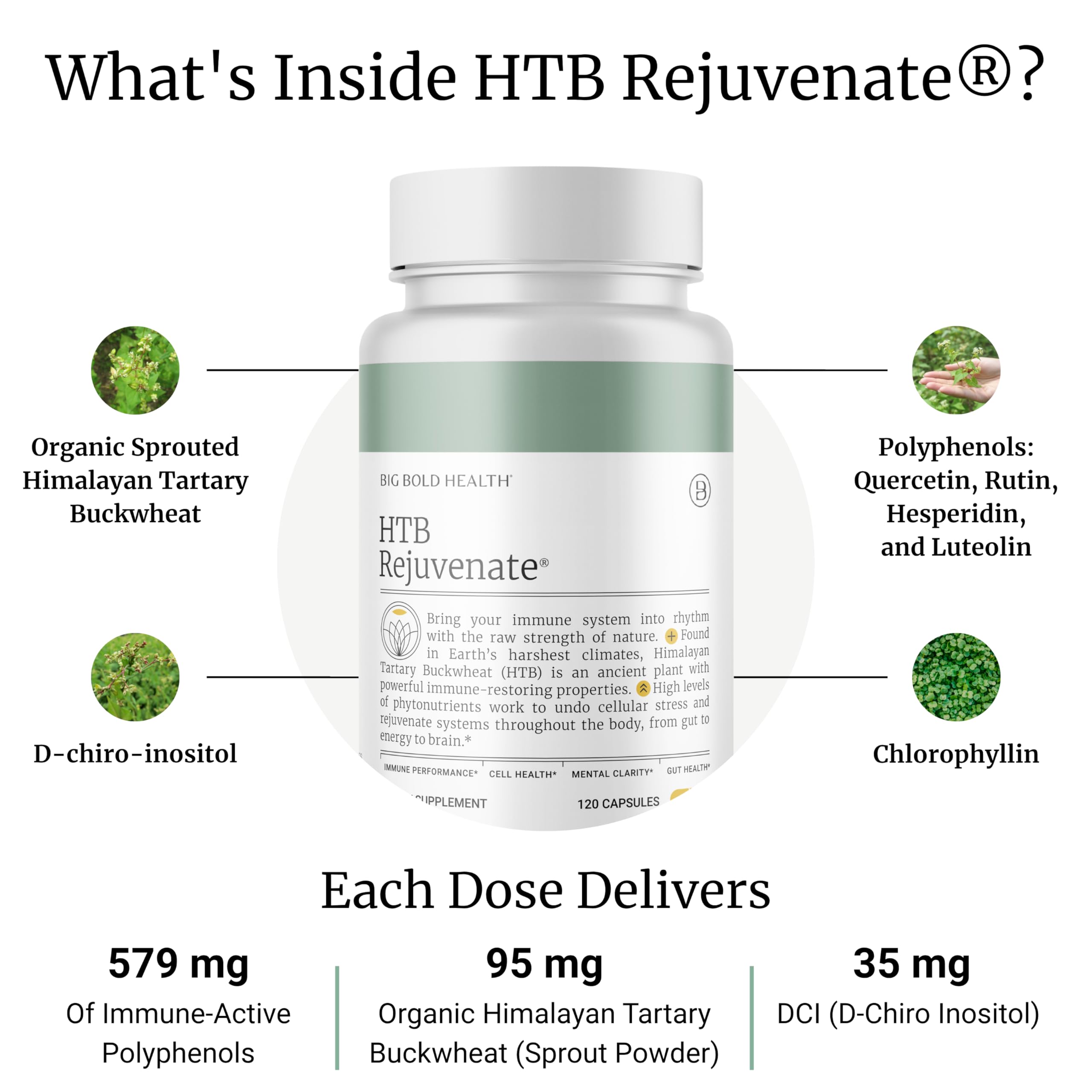 Himalayan Tartary Buckwheat grains used in HTB Rejuvenate