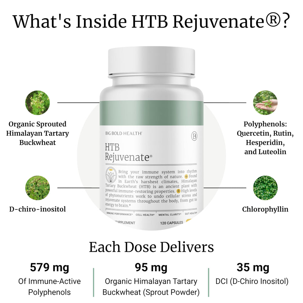 Himalayan Tartary Buckwheat grains used in HTB Rejuvenate