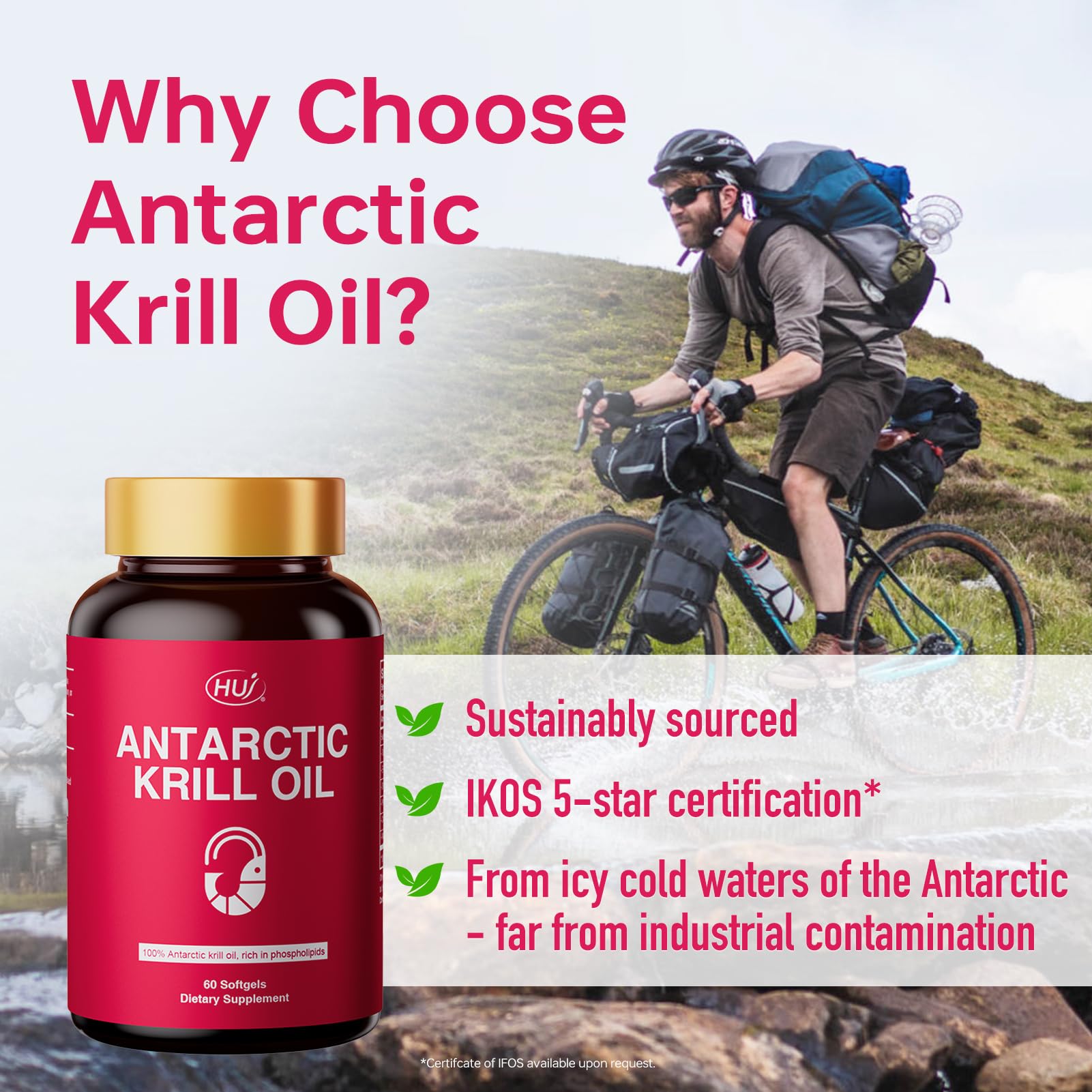 Astaxanthin and phospholipids in HUJ Antarctic Krill Oil
