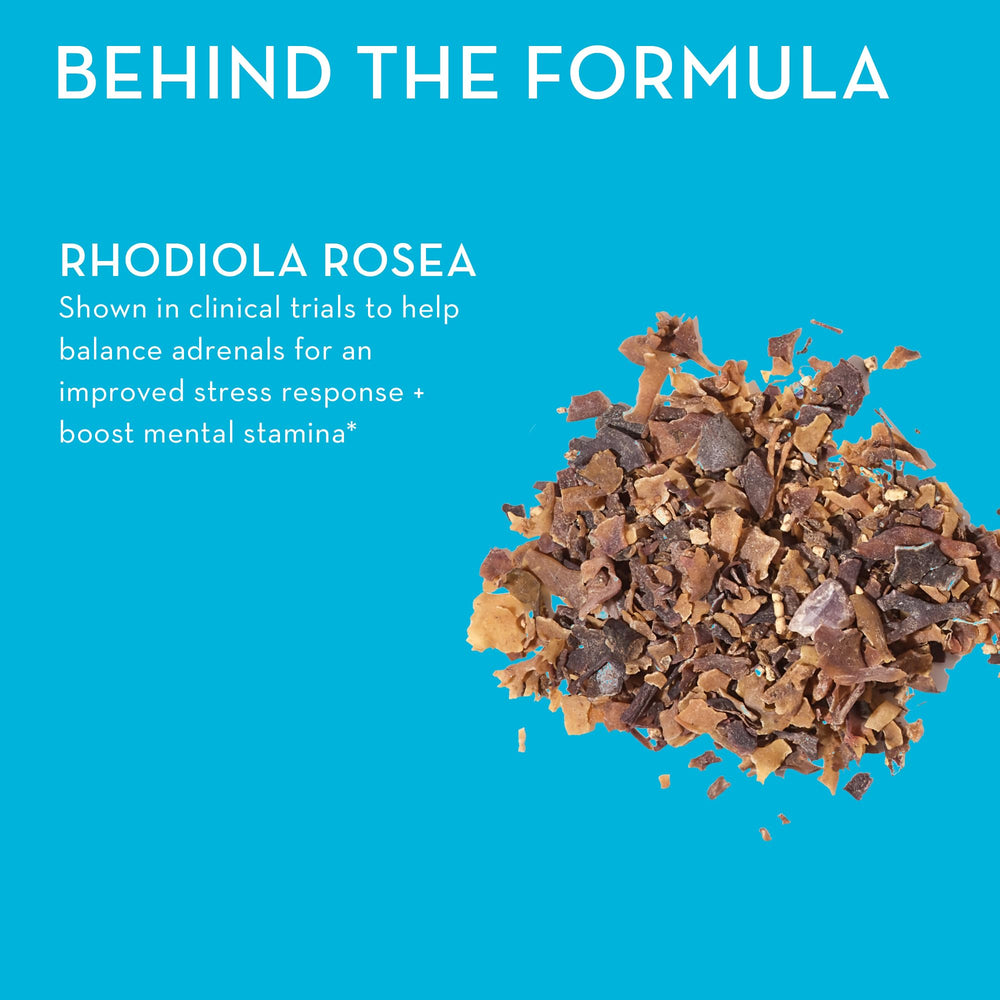 Ingredients and supplement facts for HUM Big Chill