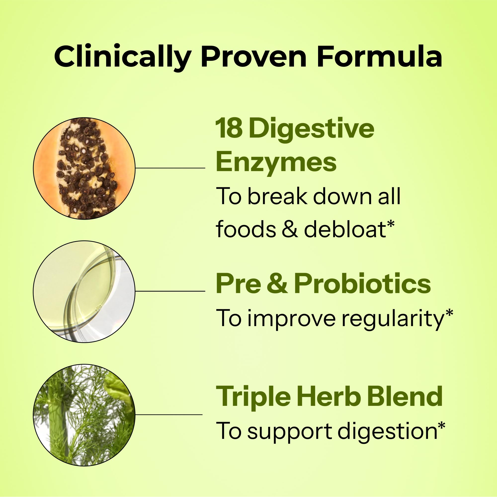 Ginger, peppermint, and fennel herbs illustration