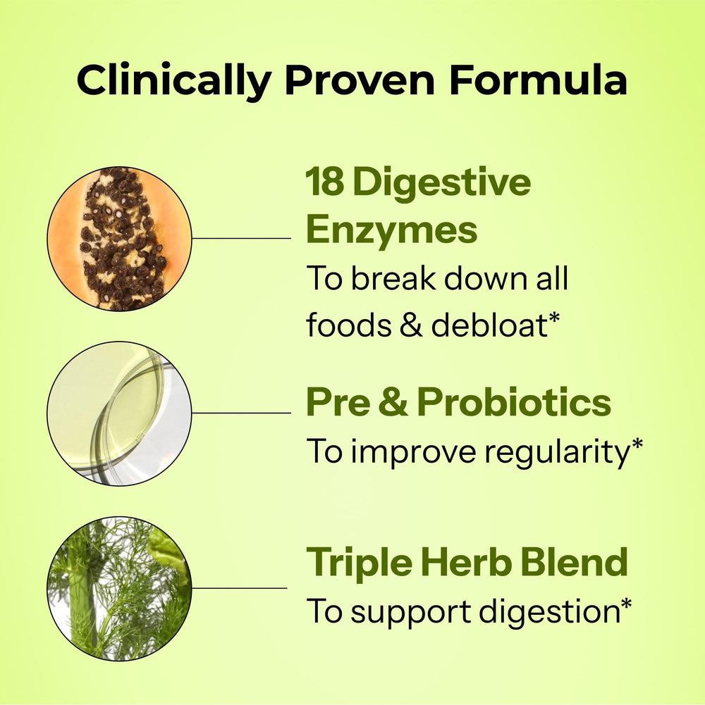 Ginger, peppermint, and fennel herbs illustration