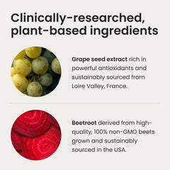 Non-GMO, plant-based ingredients icons