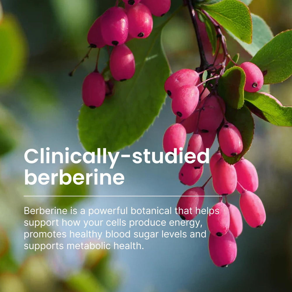 Grape seed extract included for tolerability