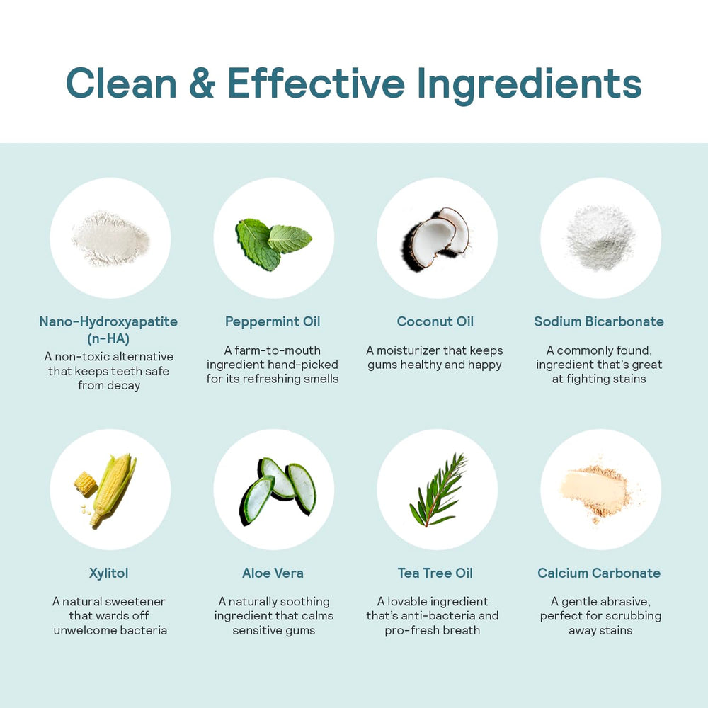 Illustration of xylitol and coconut oil ingredients