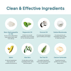 Illustration of xylitol and coconut oil ingredients