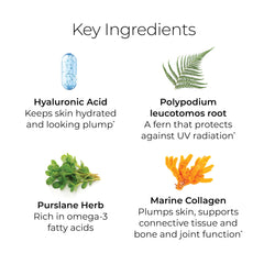 Illustration of key ingredients: hyaluronic acid, marine collagen, amino acids