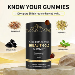 HWAXIGO Shilajit Gummies ingredients highlight