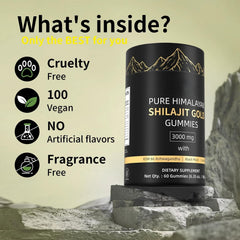 HWAXIGO Shilajit Gummies packaging close-up