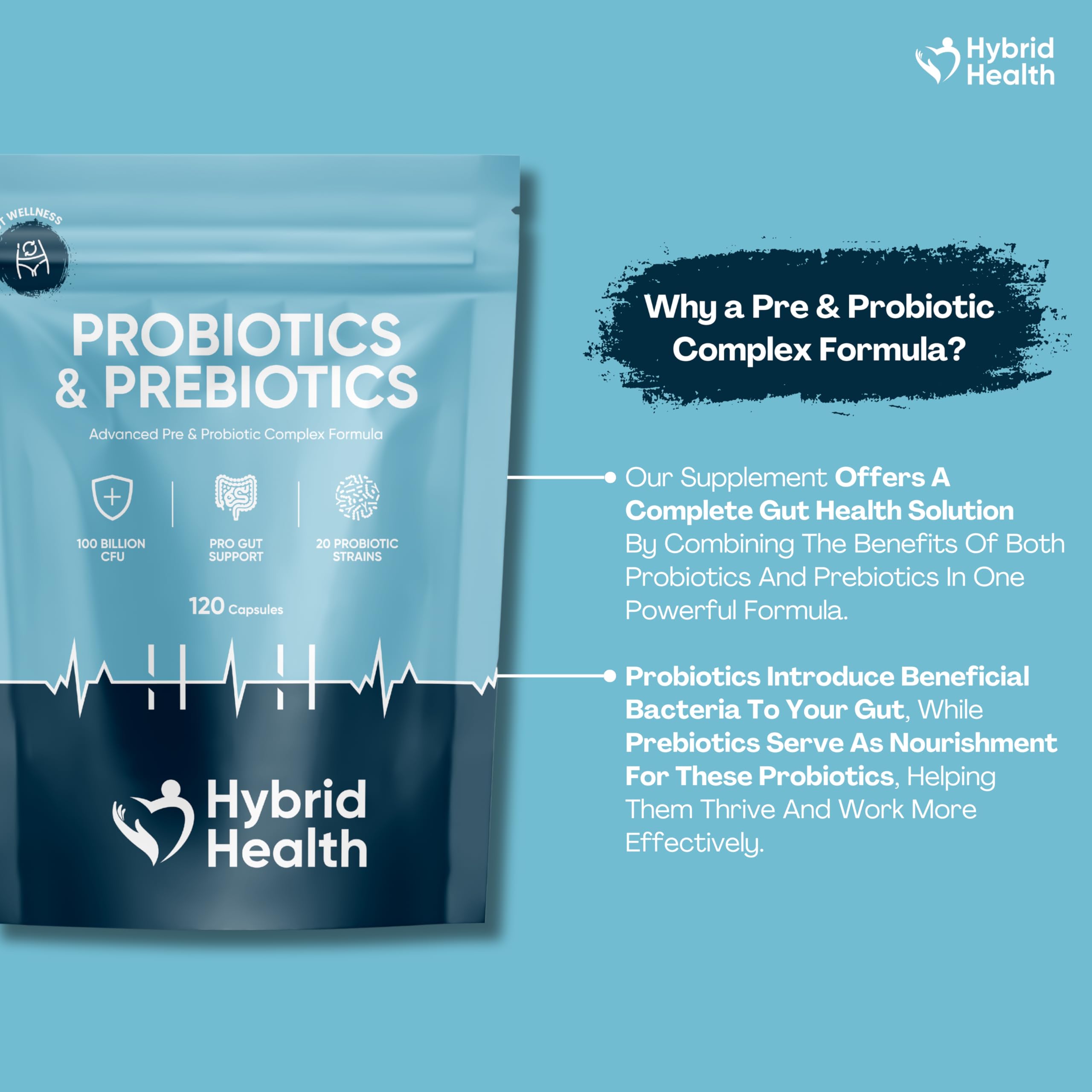 Prebiotics nourishing probiotics for gut health