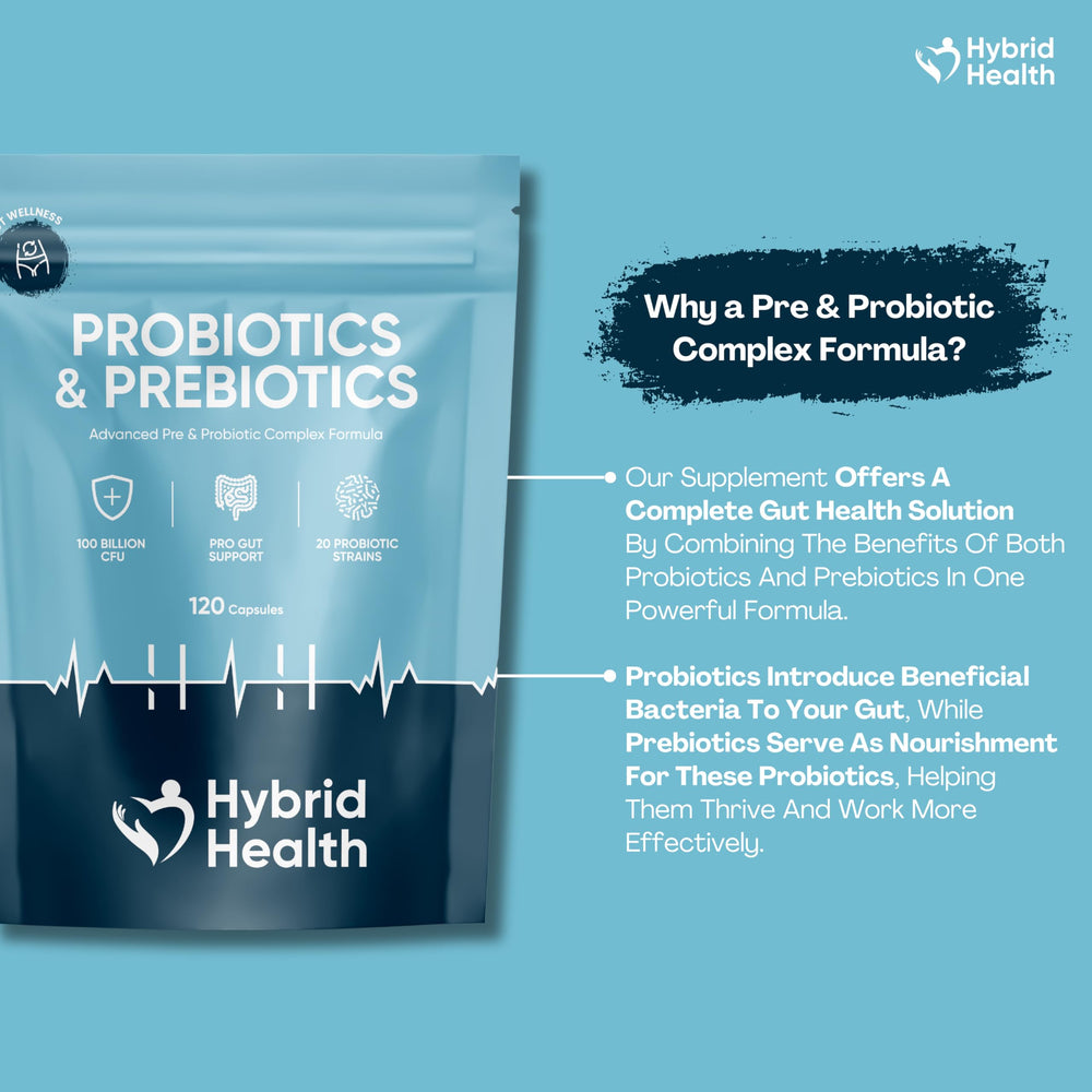 Prebiotics nourishing probiotics for gut health
