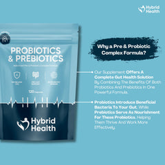 Prebiotics nourishing probiotics for gut health