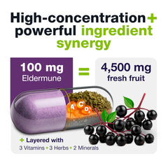 Nutrition facts and key ingredients for HybridEB