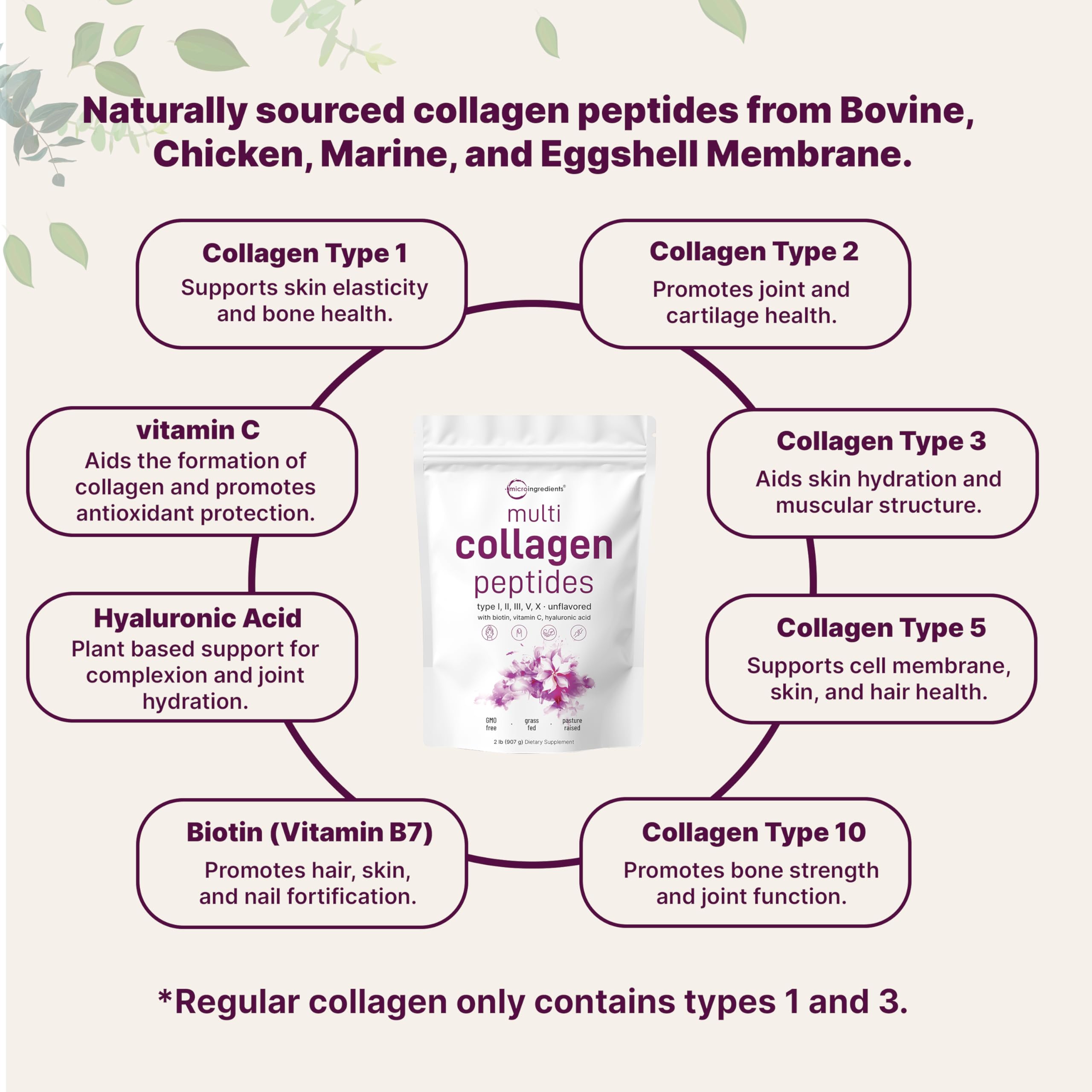 Hydrolyzed collagen peptides for better absorption