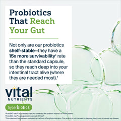 Probiotic prebiotic blend with prebiotic FOS