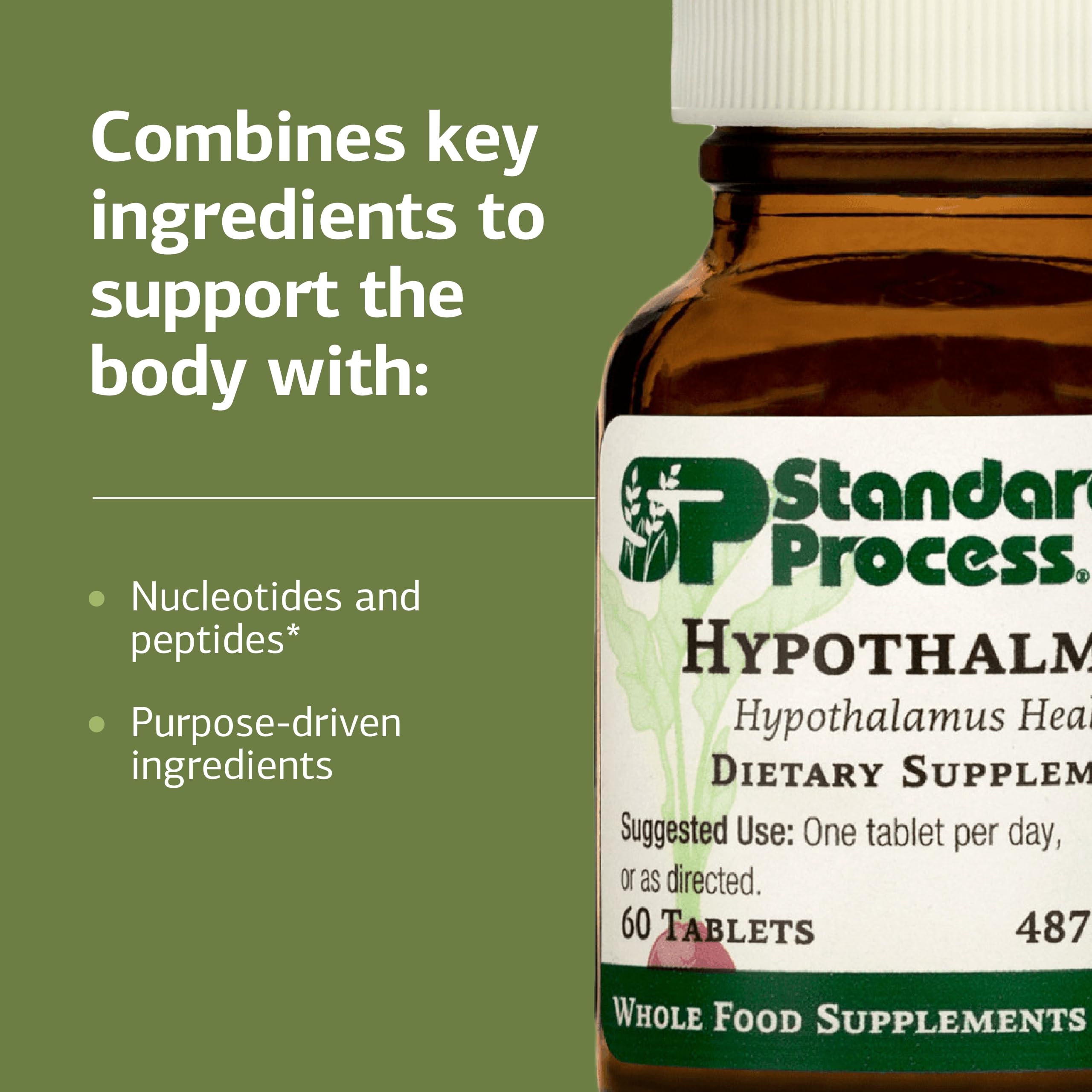 Graphic depicting porcine hypothalamus cytosol extract