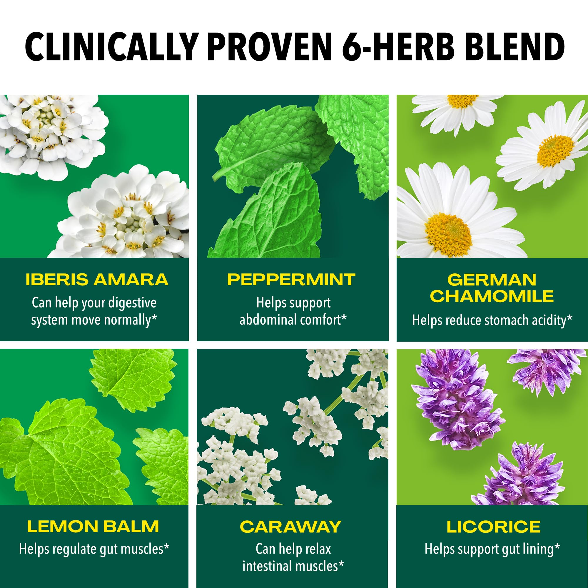 Iberogast softgels packaging and label communicate trusted digestive relief.