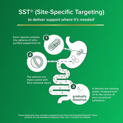 IBGARD fast-action graphic suggests relief within 24 hours.