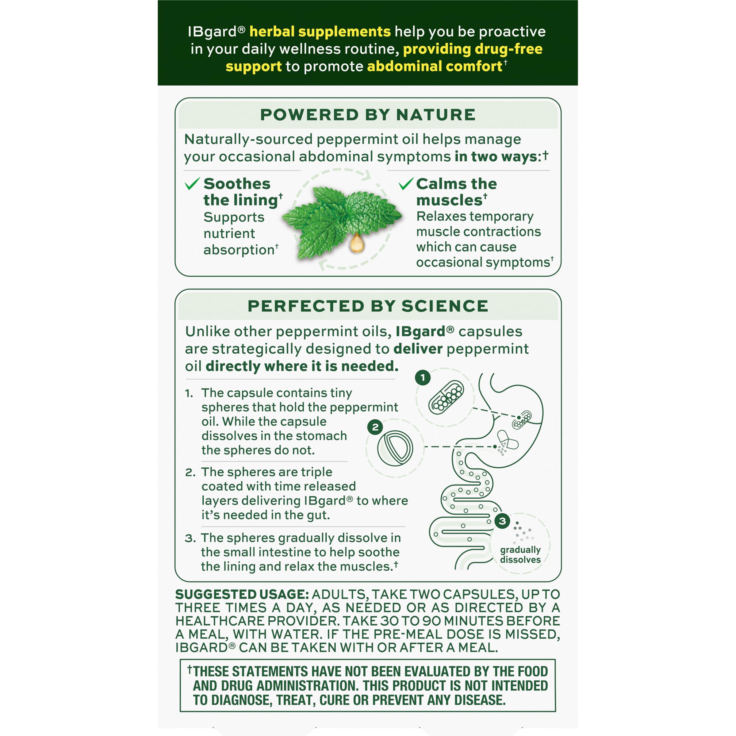 IBgard SST technology diagram illustrating site-specific peppermint oil delivery in the gut.