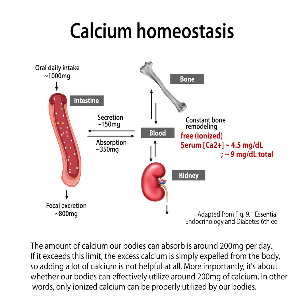 Illustration of ionized absorption concept for iBone Cal Mag