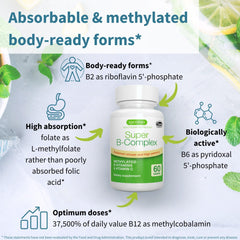 Sustained-release B vitamin technology
