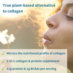 Close-up of PlantProColl ingredients list and amino acids on packaging