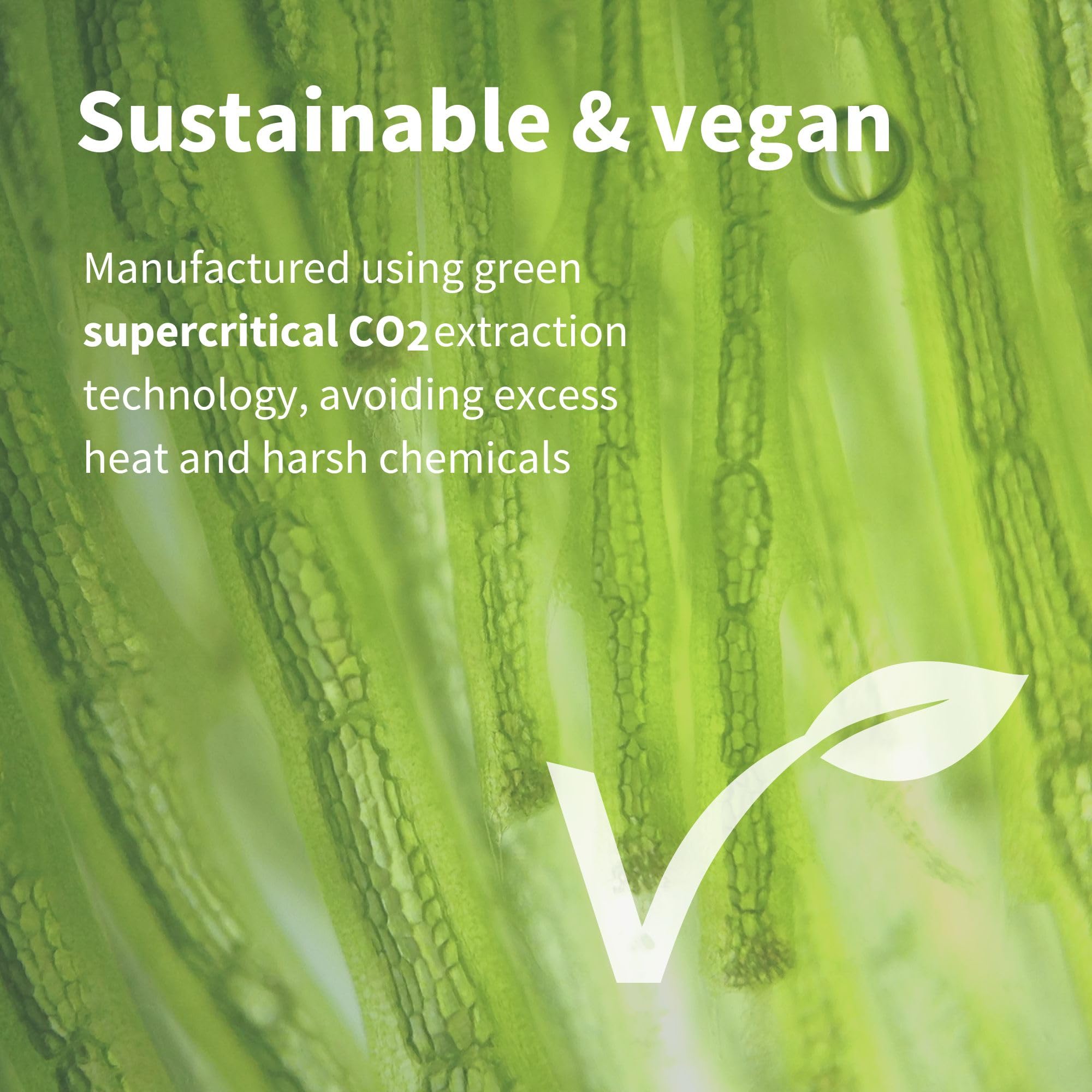 Vegan, non-GMO certification icons