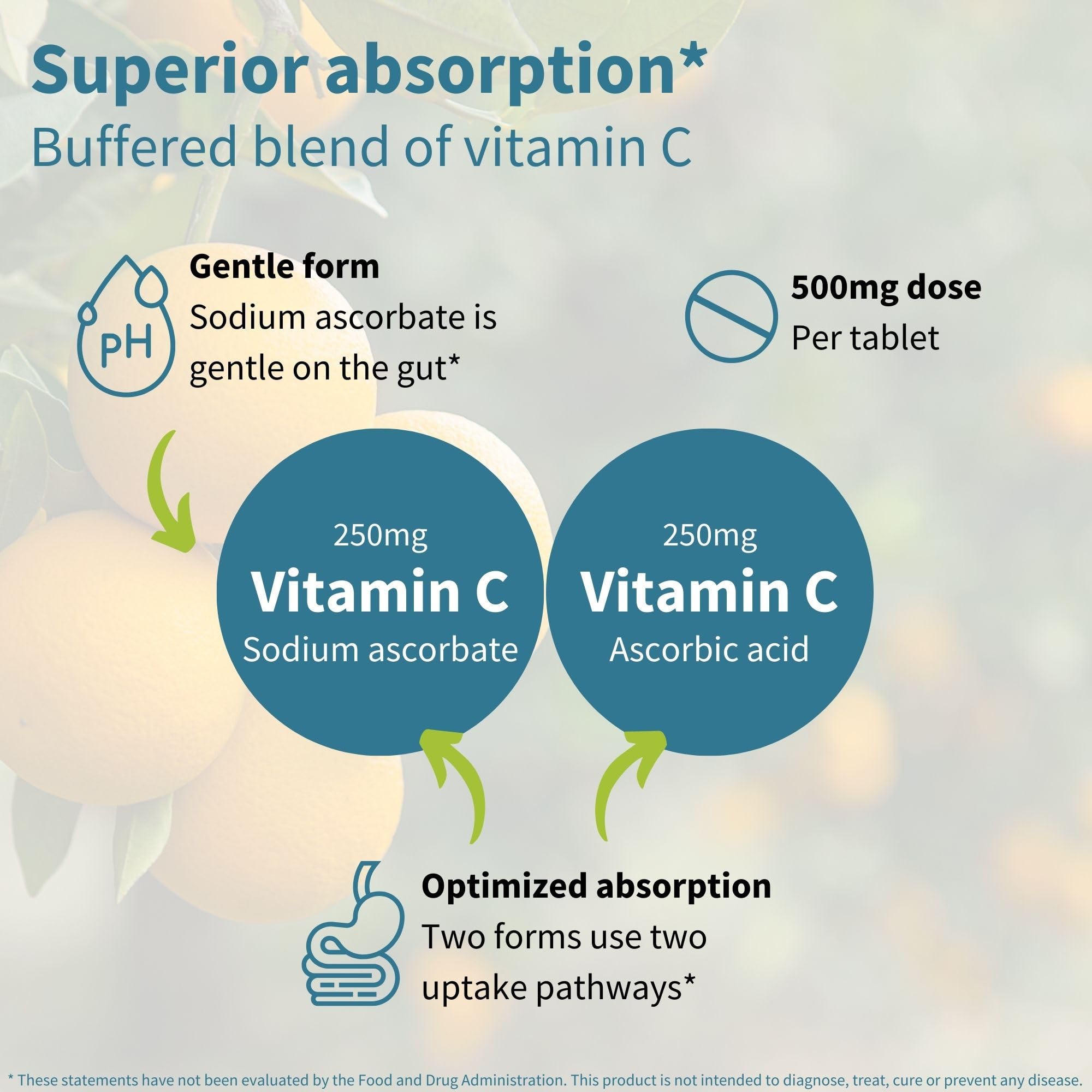 Serving chart showing 500mg vitamin C per chewable