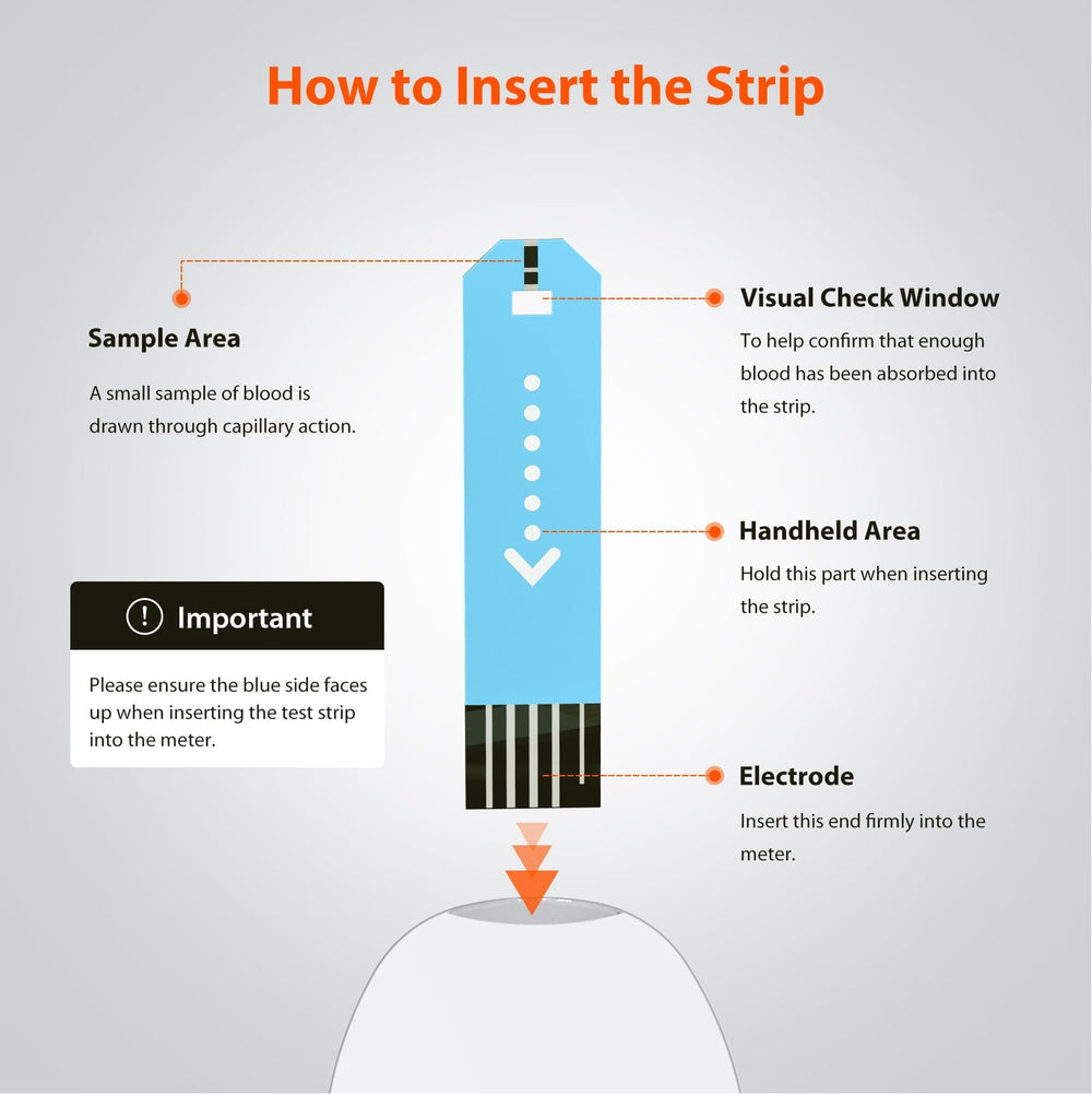 iHealth Gluco-Smart app sync visual illustrating organized data sharing.