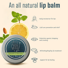 The Ilex Wood natural oils like almond and coconut for deep lip hydration
