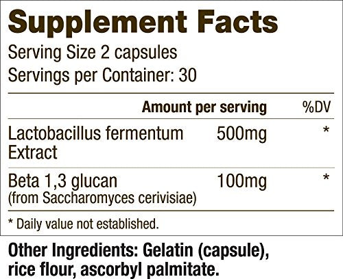 Lactobacillus fermentum extract highlighted as a key Imm-Kine ingredient
