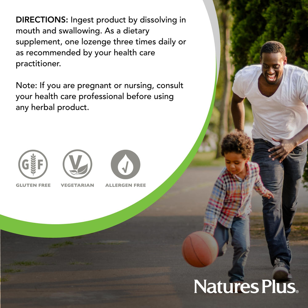 Herbal ingredients elderberry and echinacea in ImmunActin Lozenges