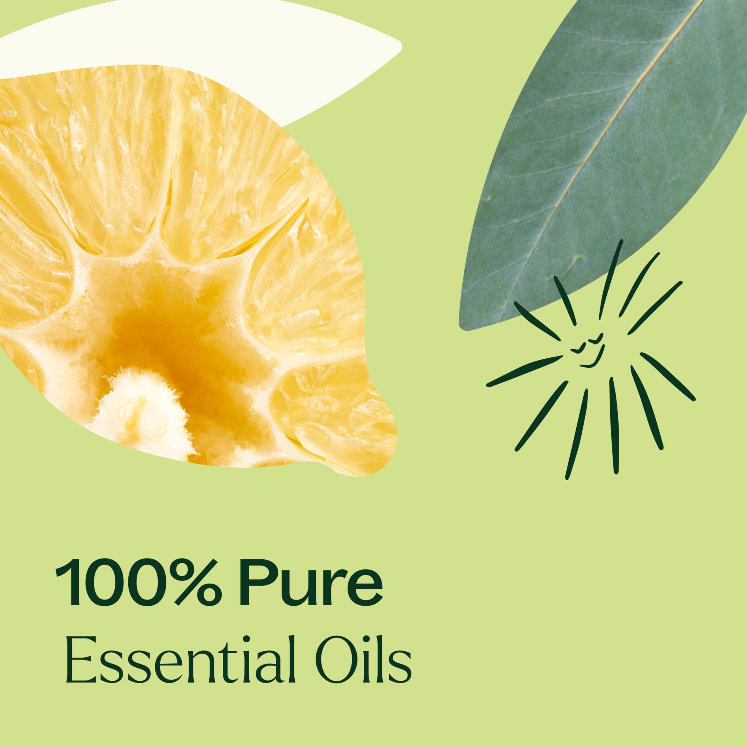 Frankincense Serrata essential oil in Immune Aid blend