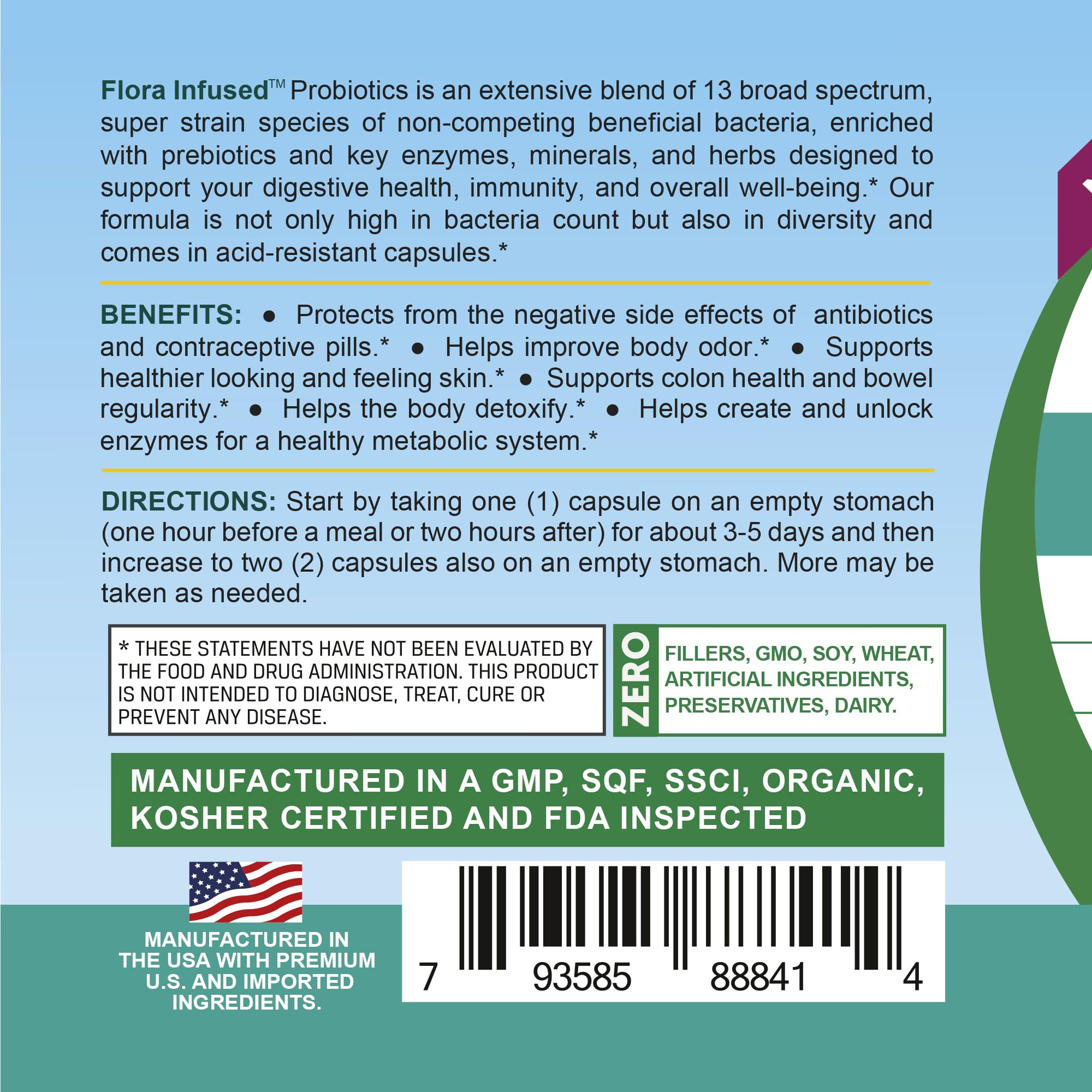 Illustration of digestive health and immune support