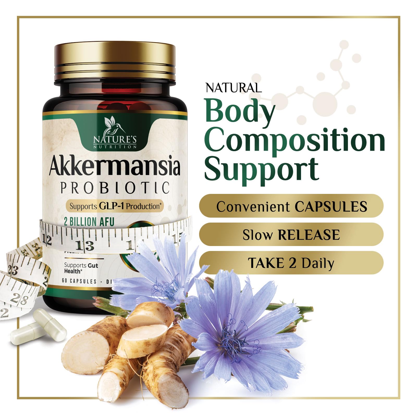 Immune and gut health support with Akkermansia muciniphila
