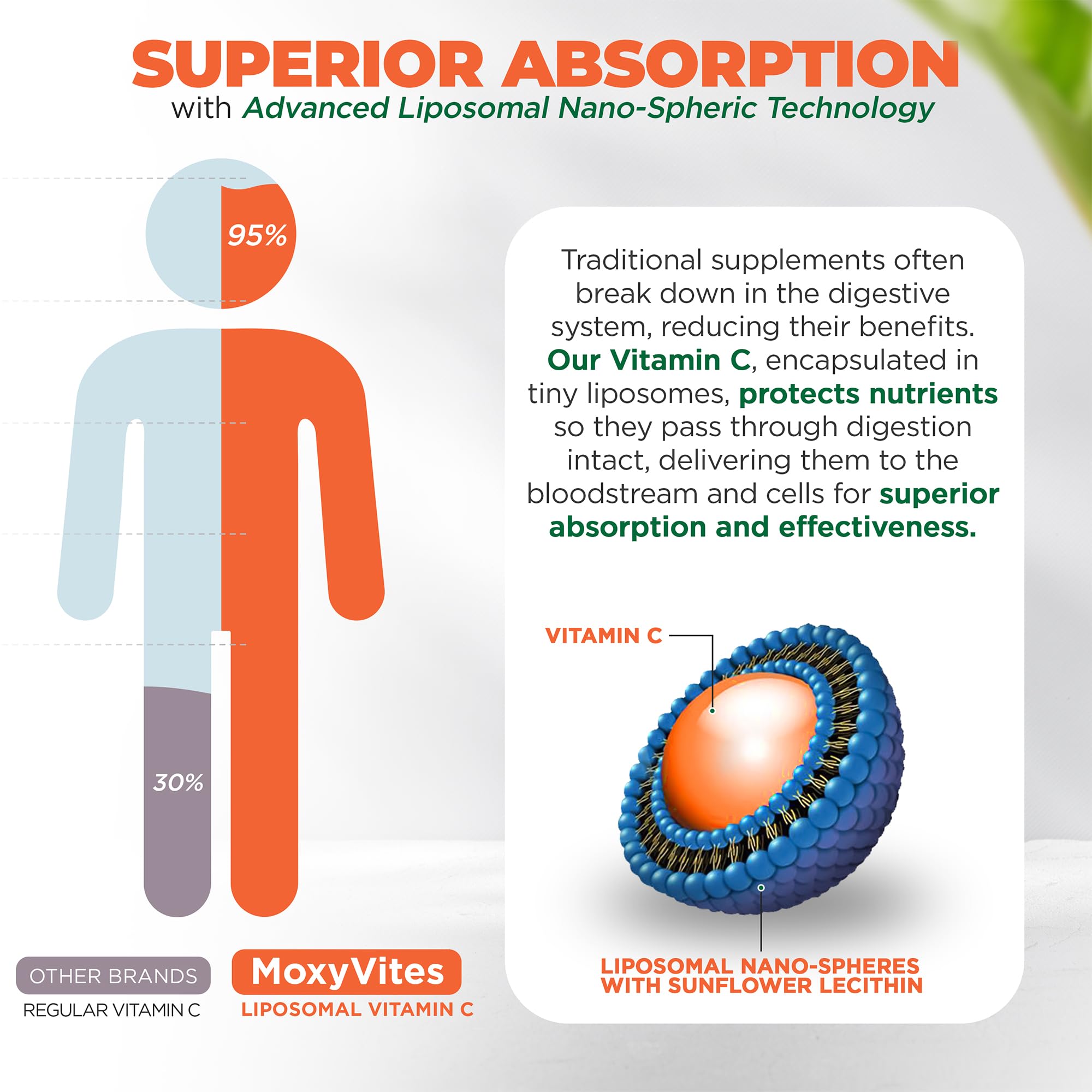 Immune support and anti-aging Vitamin C with zinc