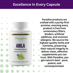 Antioxidant and immune support concept for Paradise Herbs Amla