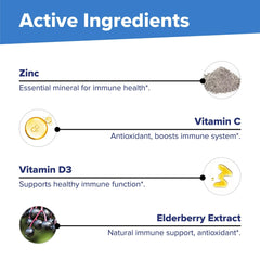 Infographic highlighting daily immune support benefits