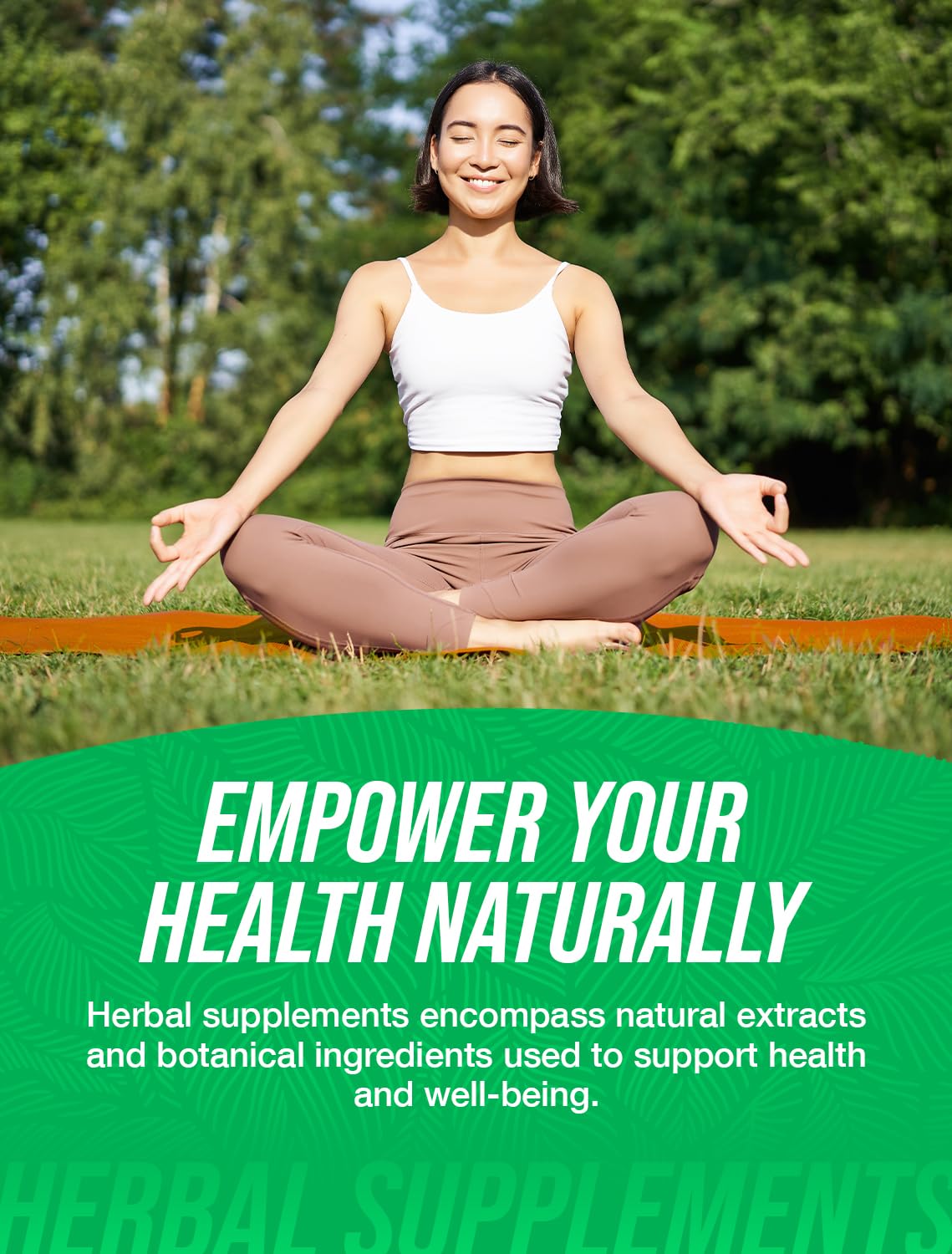 Immune support elderberry extract powder