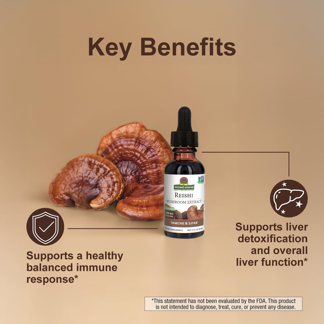 Graphic illustrating immune support and liver health benefits