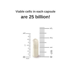 Concept image showing immune support from probiotics