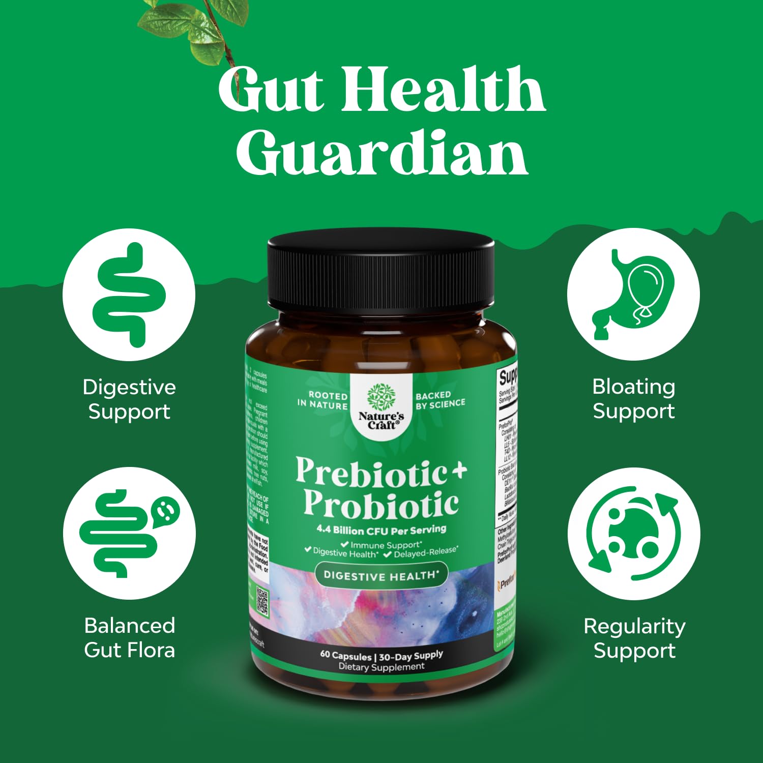 Probiotic supplement with prebiotics for immune support