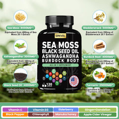 Immune support sea moss capsules with elderberry and vitamin C